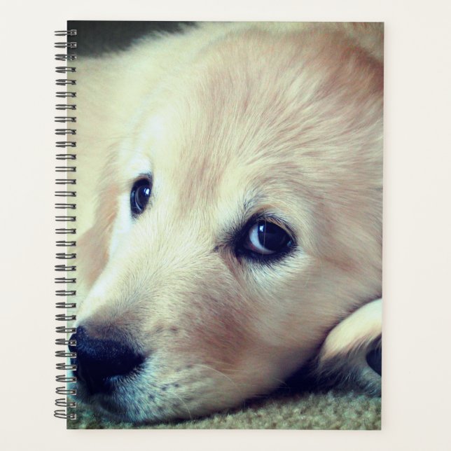 Agenda Puppy (Frente)