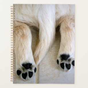 Agenda Puppy Toes do ouro Retriever