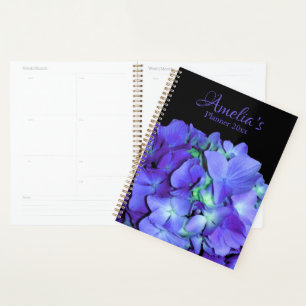 Agenda Purple and teal hydrangea, purple blue flowers