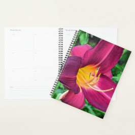 Agenda Púrpura Tigre Lily Planner