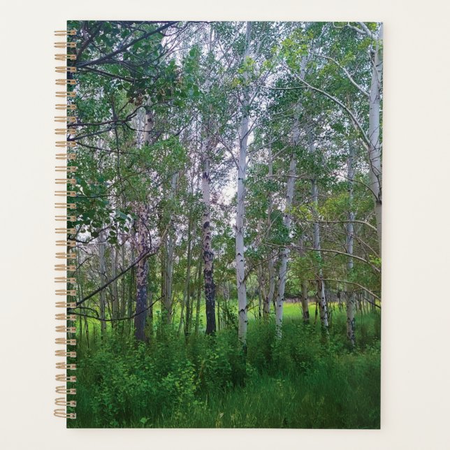 Agenda Quakies Planner (Frente)