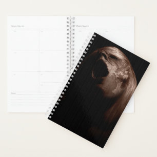Agenda Quebra de Falha Gratuita