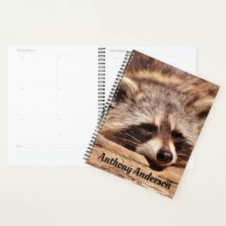 Agenda Raccoon