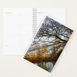 Agenda Ramais e árvores