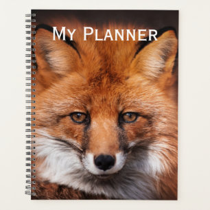 Agenda Raposa Vermelha
