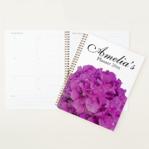 Agenda Raspberry pink hydrangeas pink magenta flowers