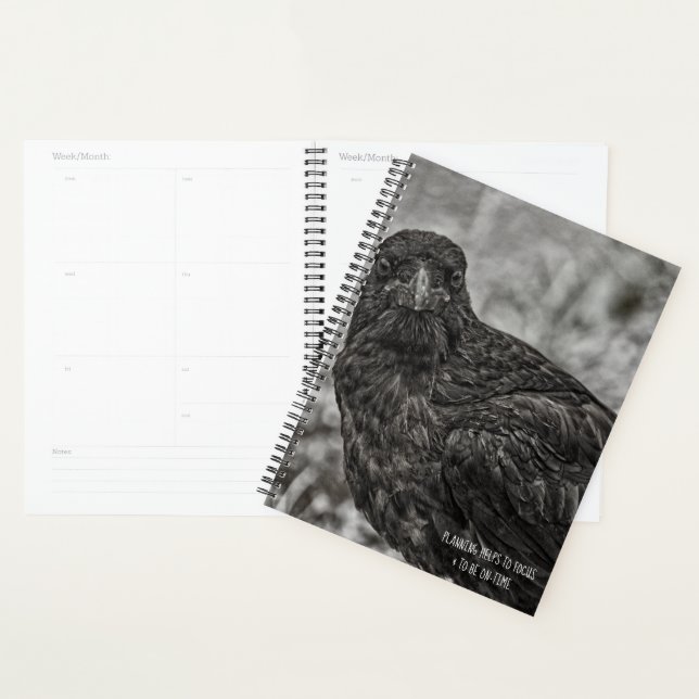 Agenda Raven P9239 (Exibição)