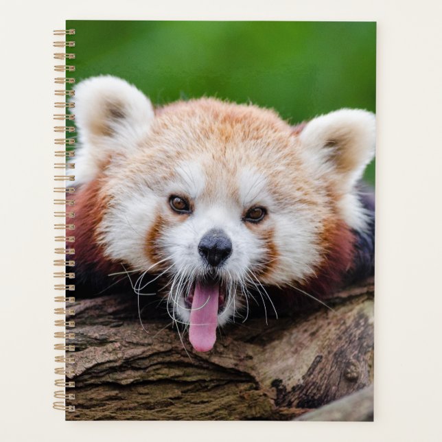 Agenda Red Panda (Frente)