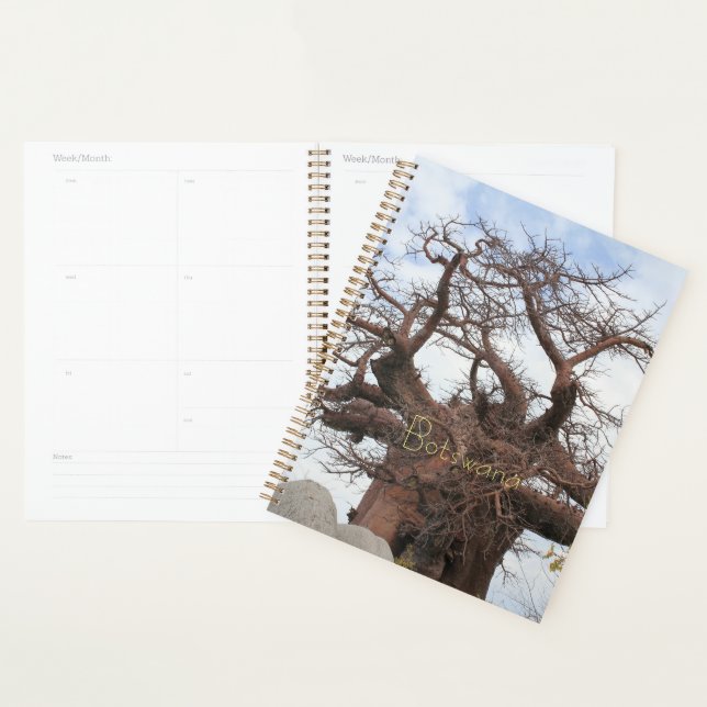 Agenda Região Baobab de Kubu - Cenoura Botswana (Exibição)
