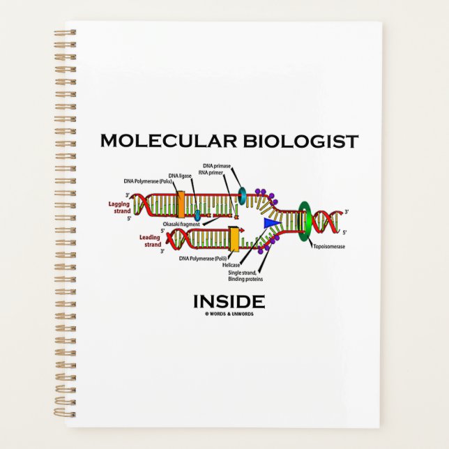 Agenda Replicação de DNA Dentro de biólogo molecular (Frente)