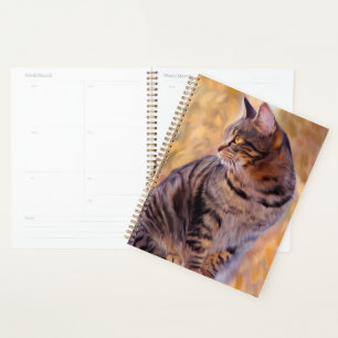 Agenda Retrato de arte de gato