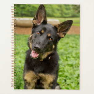 Agenda Retrato de um German shepherd