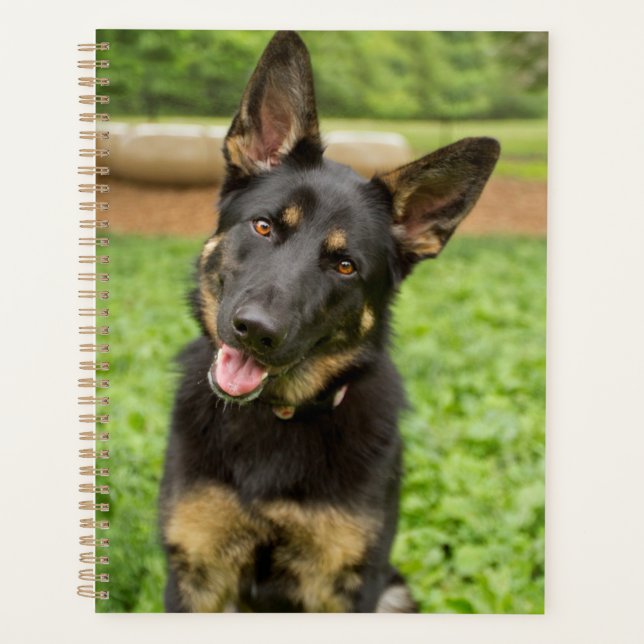 Agenda Retrato de um German shepherd (Frente)