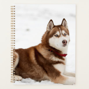 Agenda Retrato Husky Siberian Cute