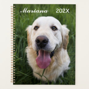 Agenda Retriever de Ouro sorridente  