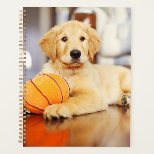 Agenda Retriever ouro Com Brinquedo De Basquete (Frente)