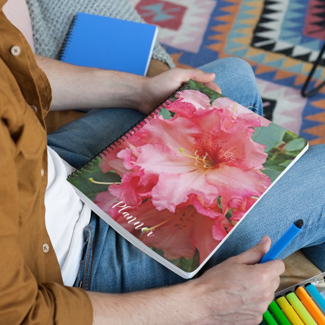 Agenda Rhododendron Bloom Rosa Floral (In Situ)