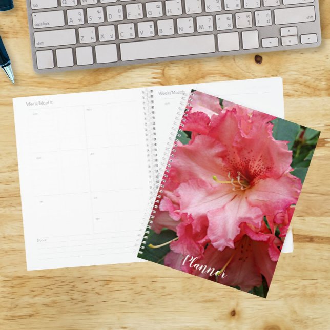 Agenda Rhododendron Rosa Floral em Flor (In Situ)