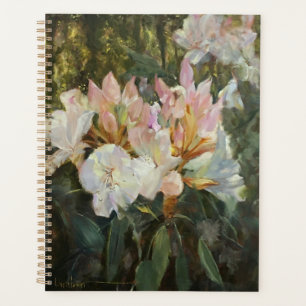 Agenda Rododendrons brancos e cor-de-rosa e cor-de-rosa