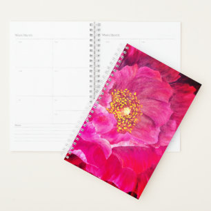 Agenda Rosa de Cactus Rosa Do Planner Sm