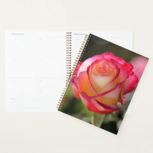 Agenda Rosa de dupla Delícia