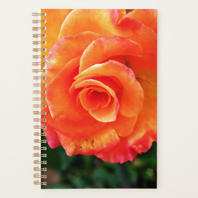 Agenda Rosa flor de laranja (Frente)