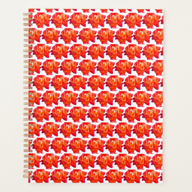 Agenda Rosa laranja (Frente)