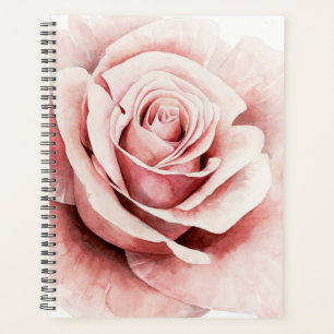 Agenda Rosa Rosa Rosa Rosa