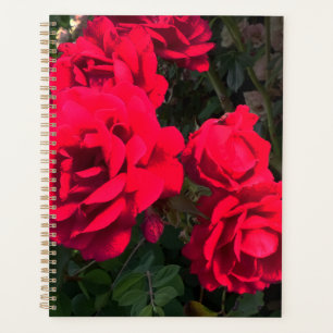 Agenda rosa vermelha Rosarium