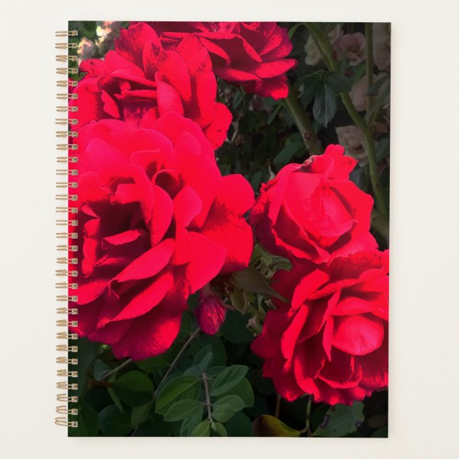 Agenda Rosa vermelha Rosarium (Frente)