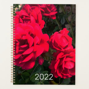 Agenda Rosário Rosa vermelha 2022