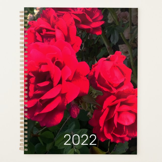 Agenda Rosário Rosa vermelha 2022 (Frente)