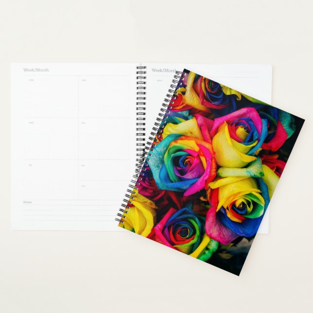 Agenda Rosas arco-íris (Exibição)