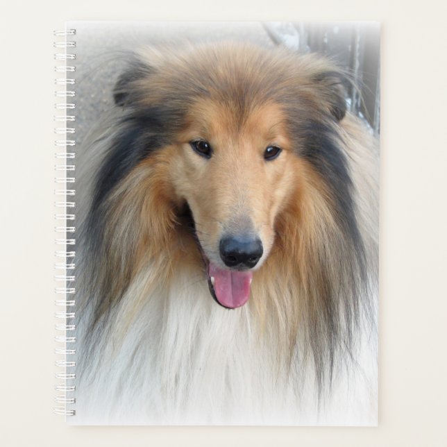 Agenda Rough Collie Portrait (Frente)