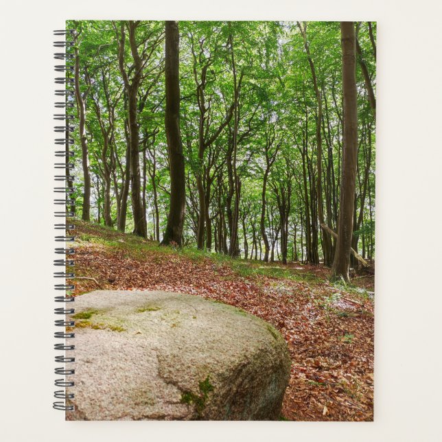 Agenda Ruheort Buchenwald (Frente)