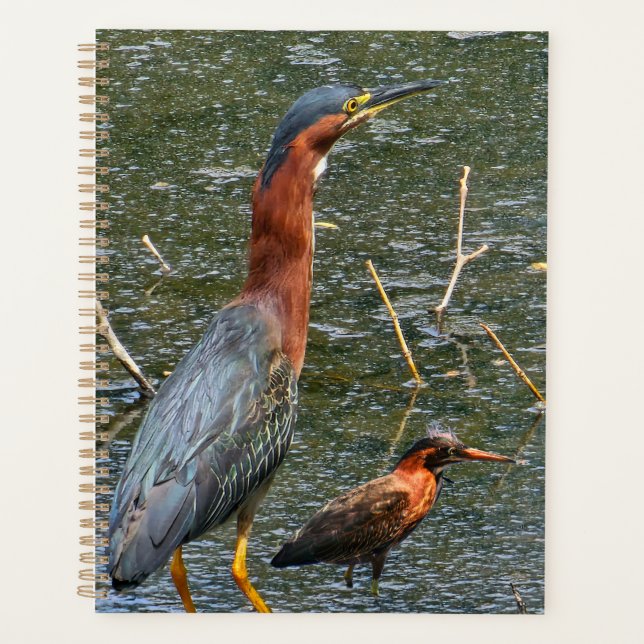 Agenda Saco de Compras Reutilizável Garça-Verde (Frente)