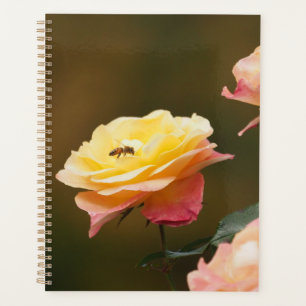 Agenda Saco Rose e Abelha