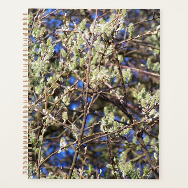 AGENDA SALGUEIRO DE PRIMAVERA (Frente)