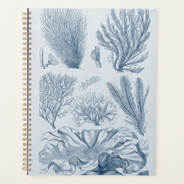 Agenda Salife náutico (Frente)