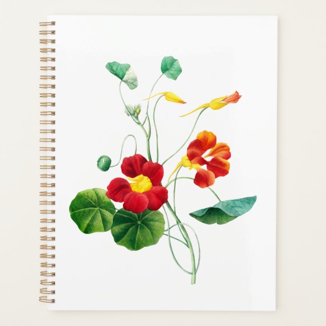 Agenda Sargaço Vermelho II Devaneio: Botânica Vintage  (Frente)