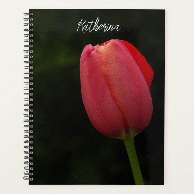 Agenda Script de Foto Tulip Rosa Elegante Personalizado (Frente)