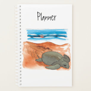 Agenda Sea Turtle Beach Divertido Colorir