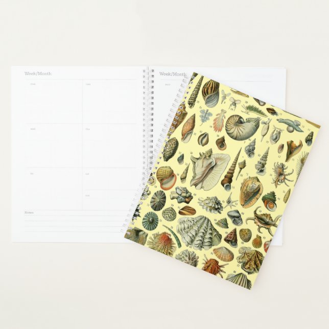 Agenda Seashell Shell Mollusk Clam Elegant Clam Art (Exibição)