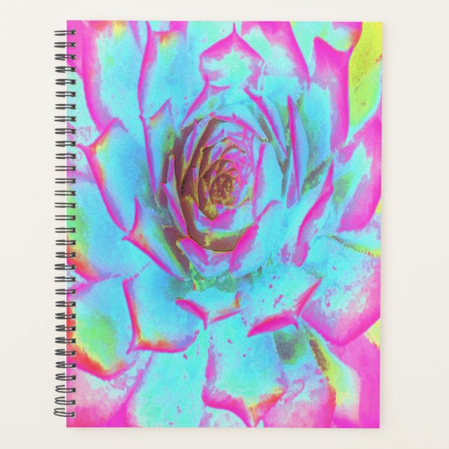 Agenda Sedum Rosette Quente Rosa e Azul Suculente (Frente)
