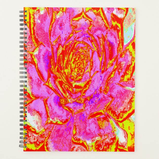 Agenda Sedum Rosette Quente Rosa, Vermelho e Amarelo Sucu (Frente)