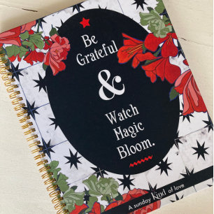 Agenda Seja grato