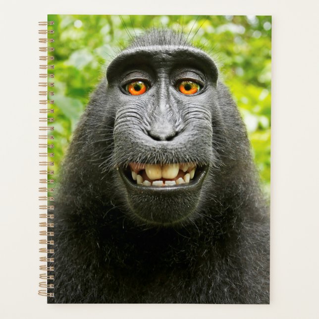 Agenda Selfie de Macaco (Frente)