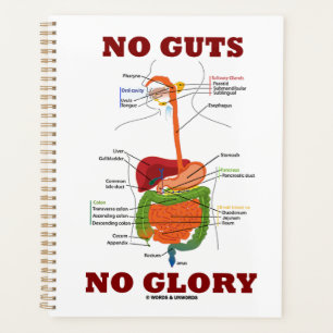 Agenda Sem Tripas Sem Glória Sistema Digestivo Anatomia