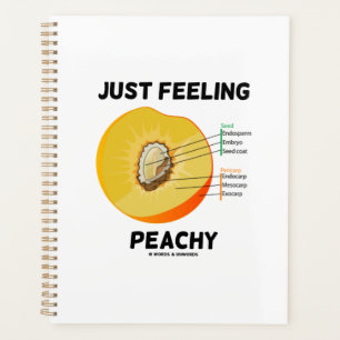 Agenda Sentir Pêssego Anatomia Fruta Humor Geek