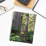 Agenda Serenity Prayer Green Forest<br><div class="desc">Esse planejador mensal/semanal mantém todas as suas atividades e agendas futuras organizadas em um único lugar útil e apresenta a foto de uma paisagem florestal verde com coníferas cada vez verdes junto com as palavras inspiradoras da oração da serenidade impressas em branco, na moda. Selecione o estilo, o tamanho e...</div>